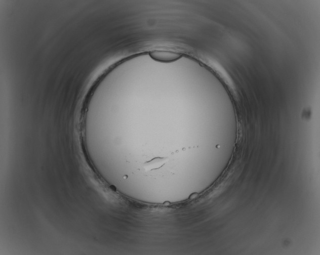X0000096631043200802050929
