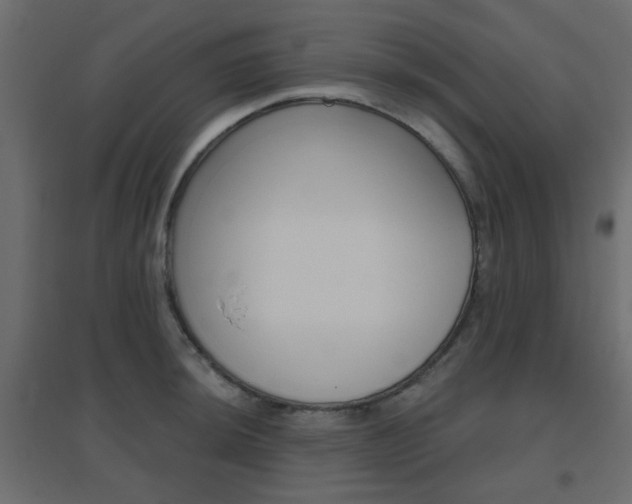 X0000096631044200802050929