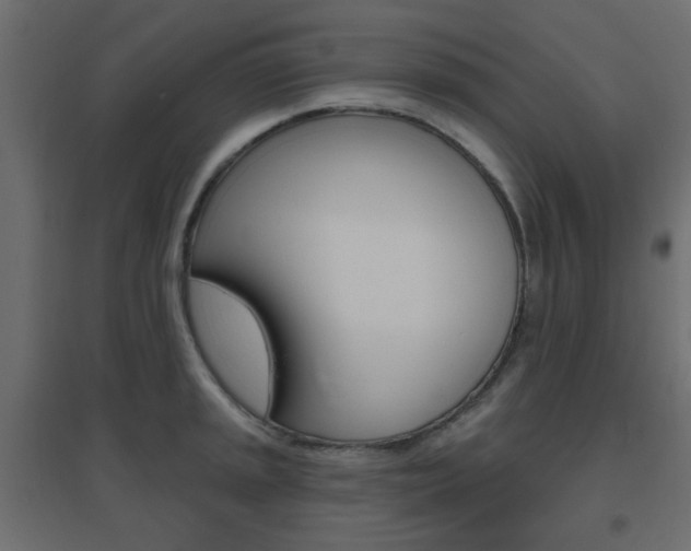 X0000096631045200802050929