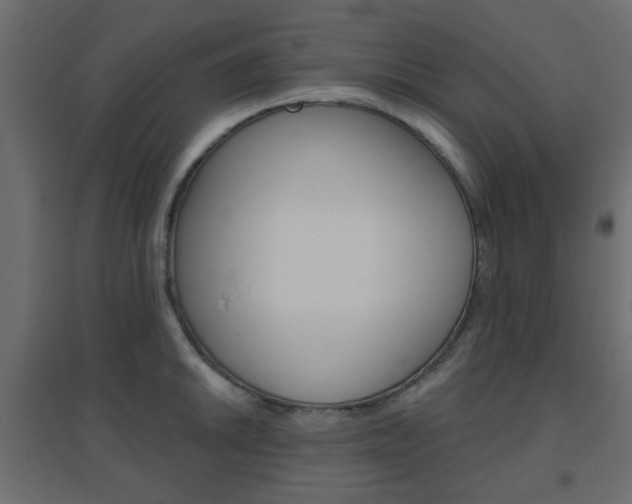 X0000096631046200802050929