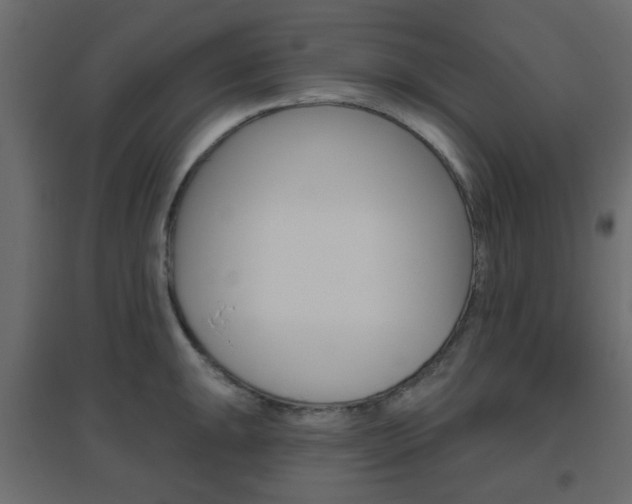 X0000096631047200802050929
