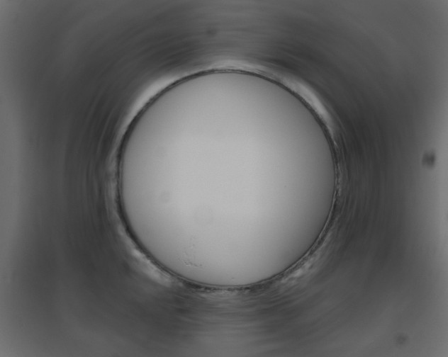 X0000096631048200802050929