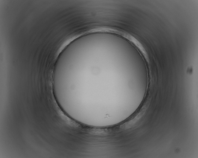 X0000096631049200802050929