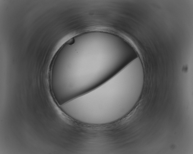 X0000096631050200802050929