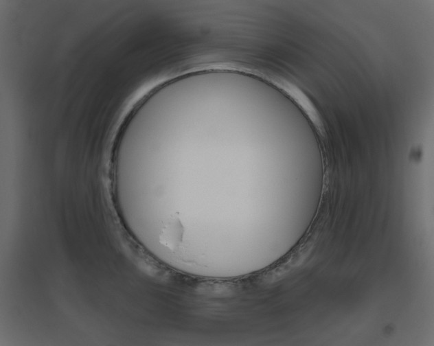 X0000096631051200802050929