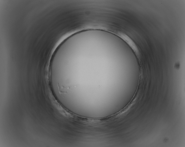 X0000096631052200802050929