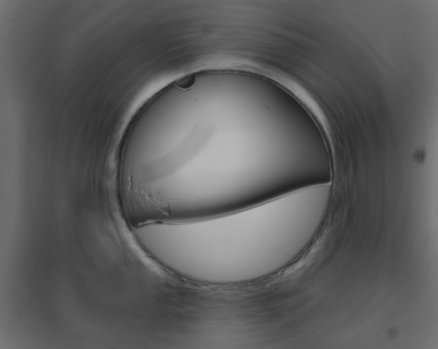 X0000096631053200802050929