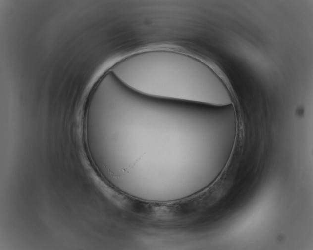 X0000096631054200802050929