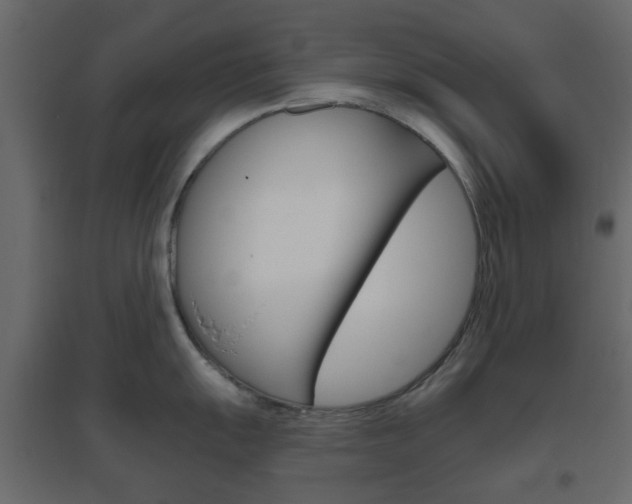 X0000096631055200802050929