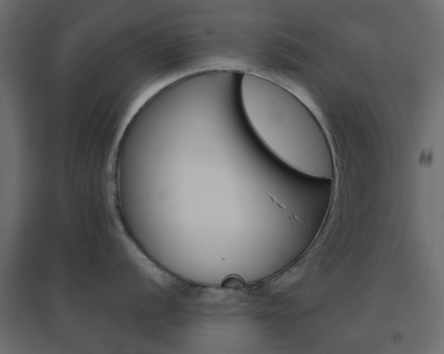 X0000096631056200802050929