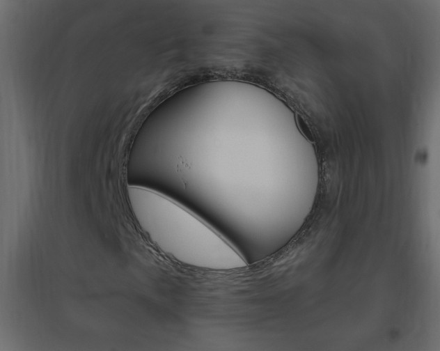 X0000096631057200802050928