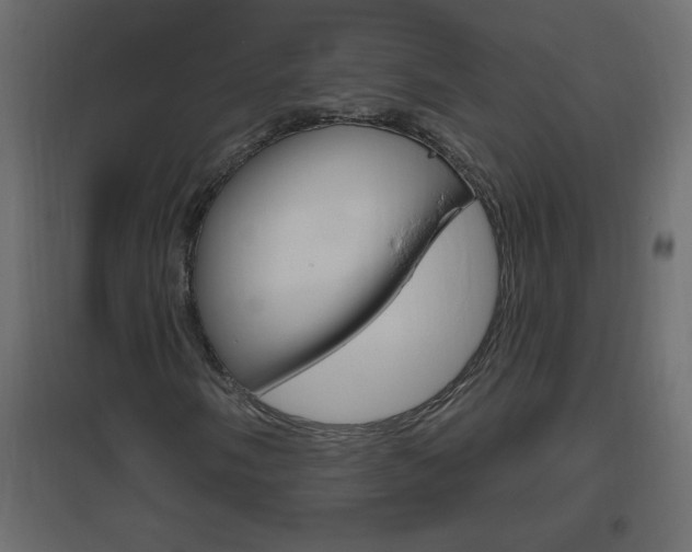 X0000096631058200802050928