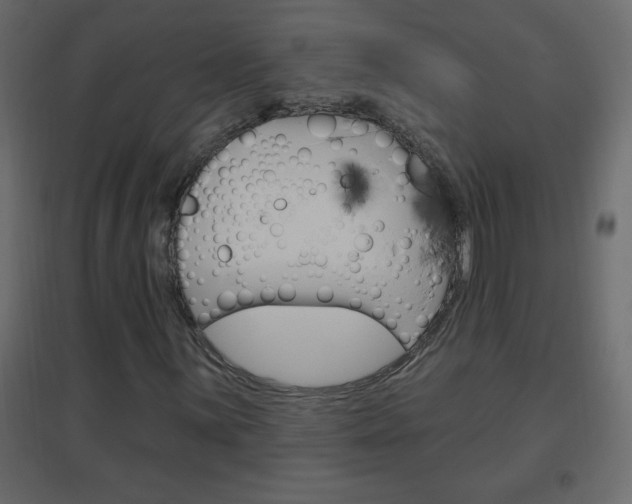 X0000096631059200802050928