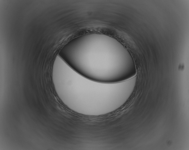 X0000096631060200802050928