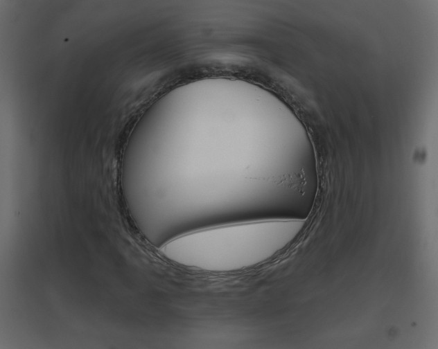 X0000096631061200802050928