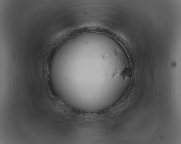 X0000096631062200802050928