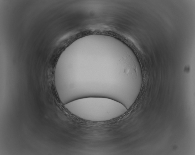 X0000096631063200802050928