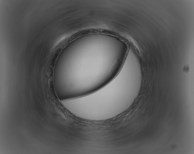 X0000096631064200802050928