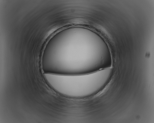 X0000096631065200802050928