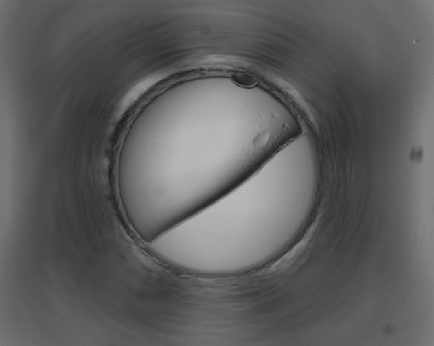 X0000096631066200802050928