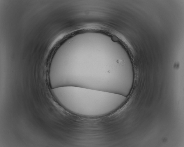 X0000096631067200802050928