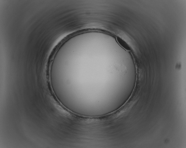 X0000096631068200802050928