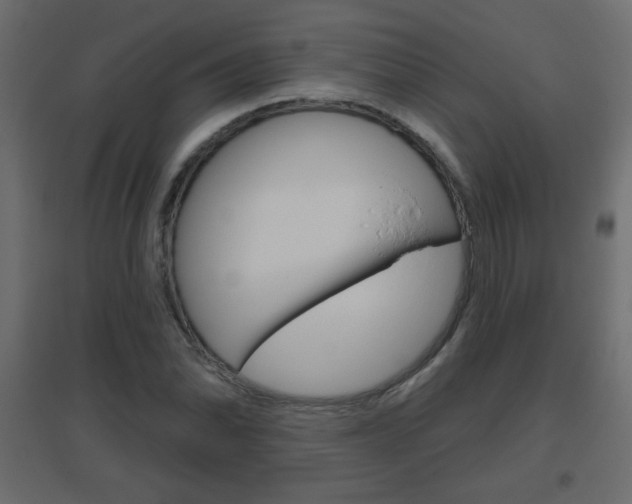 X0000096631070200802050928