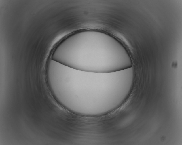 X0000096631071200802050928