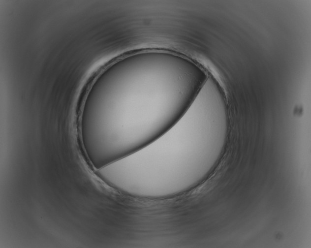 X0000096631072200802050928