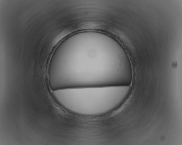 X0000096631073200802050928