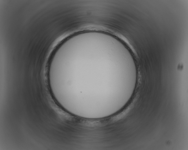 X0000096631074200802050928