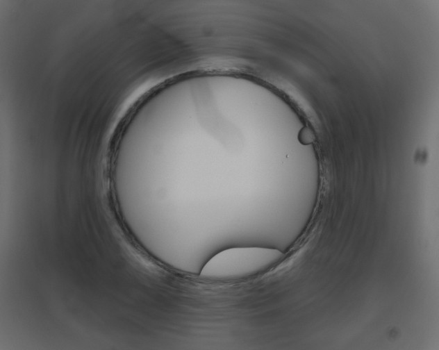 X0000096631075200802050928