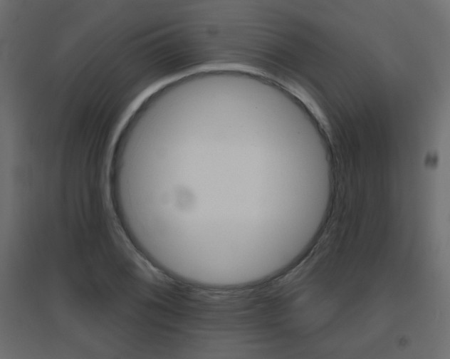 X0000096631076200802050928