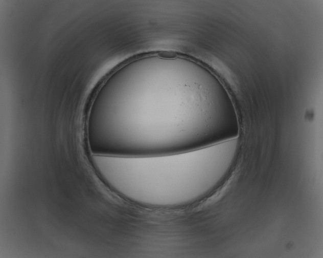 X0000096631077200802050928
