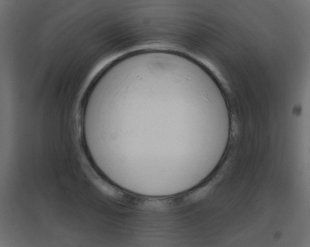X0000096631078200802050928