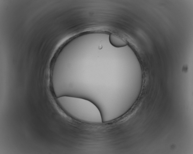 X0000096631079200802050928