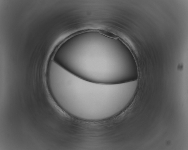 X0000096631080200802050928