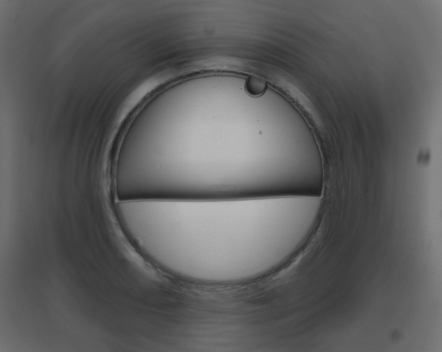 X0000096631082200802050928
