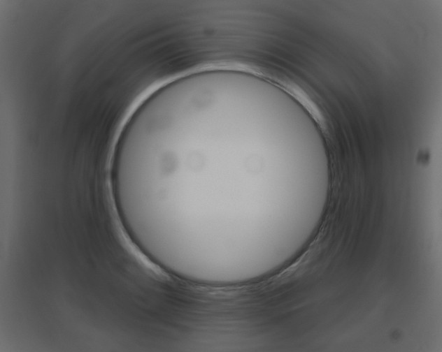 X0000096631084200802050928