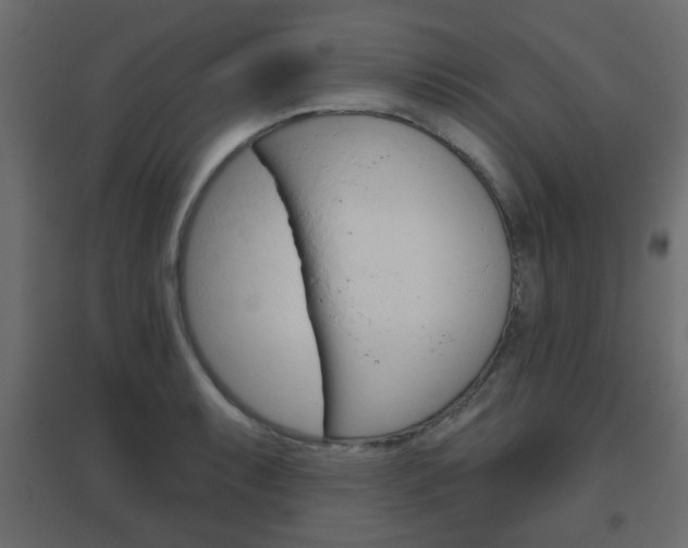 X0000096631087200802050928