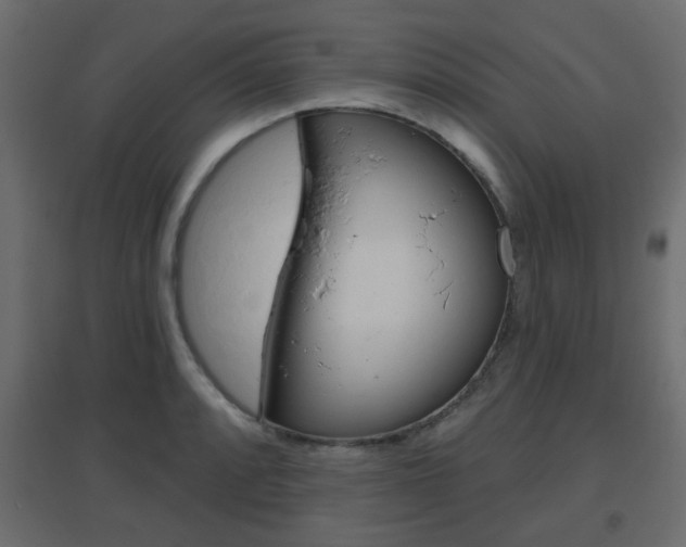 X0000096631088200802050928