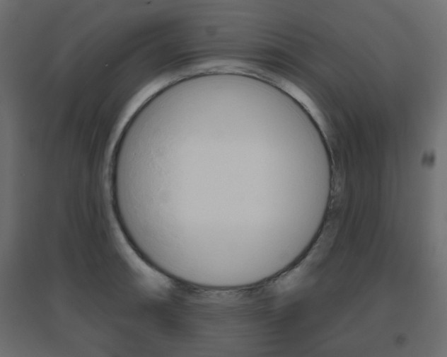 X0000096631090200802050928
