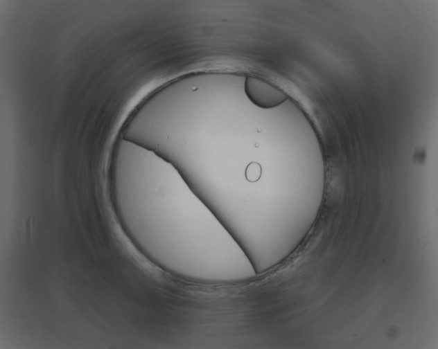 X0000096631091200802050928