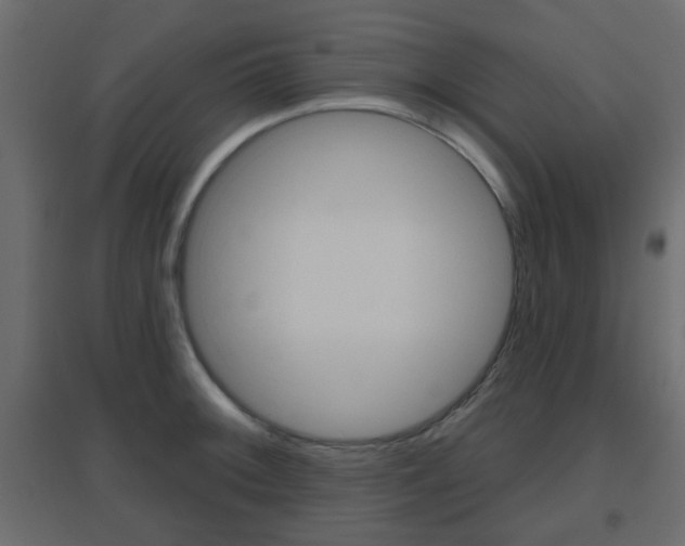 X0000096631092200802050928