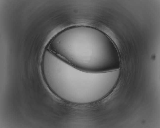 X0000096631093200802050928