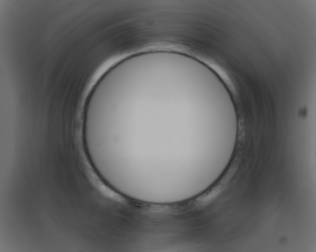 X0000096631094200802050928