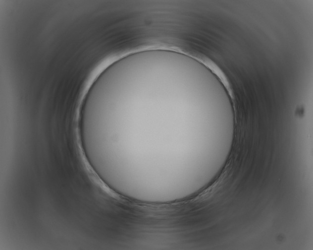 X0000096631096200802050928