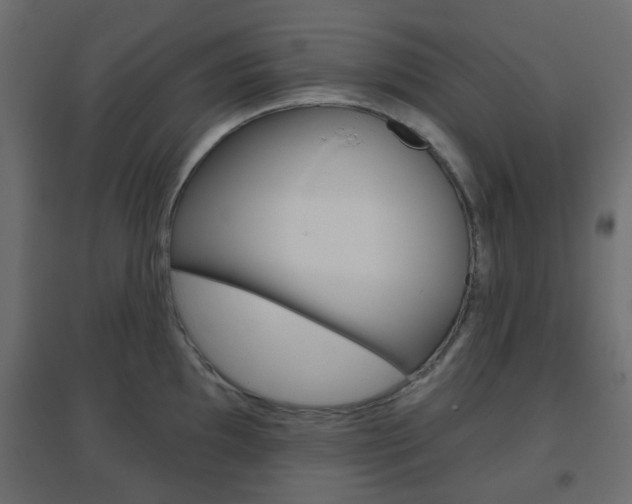 X0000096631097200802050928