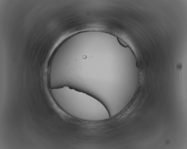 X0000096631099200802050928