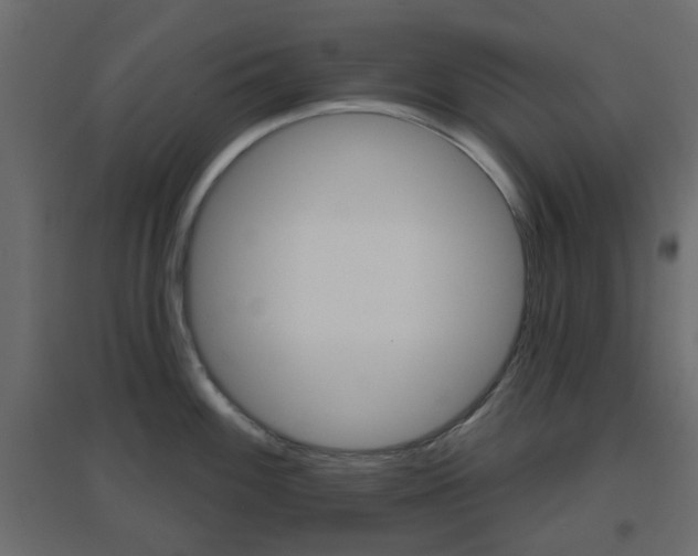X0000096631100200802050928